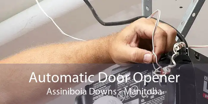 Automatic Door Opener Assiniboia Downs - Manitoba