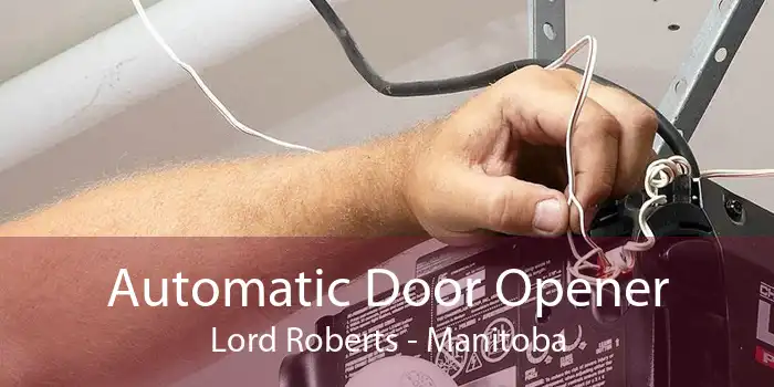 Automatic Door Opener Lord Roberts - Manitoba