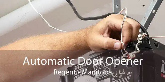 Automatic Door Opener Regent - Manitoba