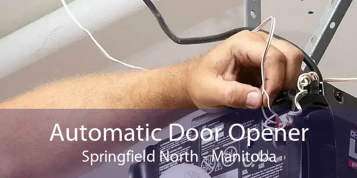 Automatic Door Opener Springfield North - Manitoba
