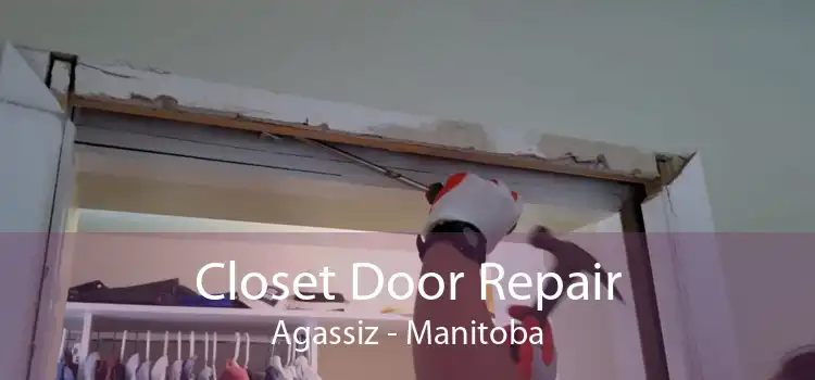 Closet Door Repair Agassiz - Manitoba