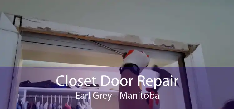 Closet Door Repair Earl Grey - Manitoba