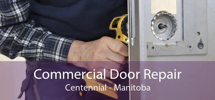Commercial Door Repair Centennial - Manitoba