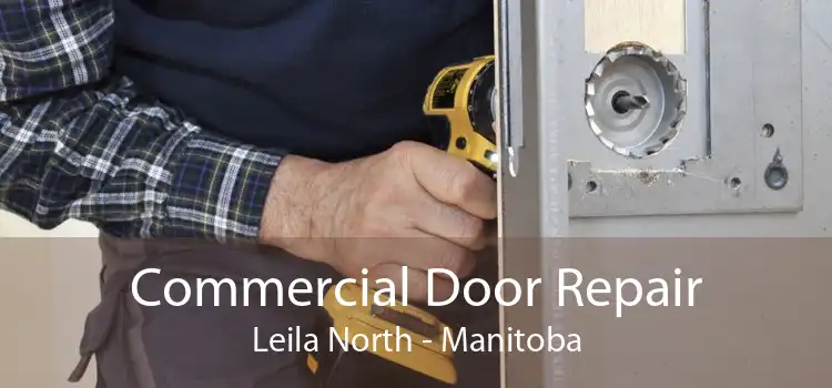 Commercial Door Repair Leila North - Manitoba
