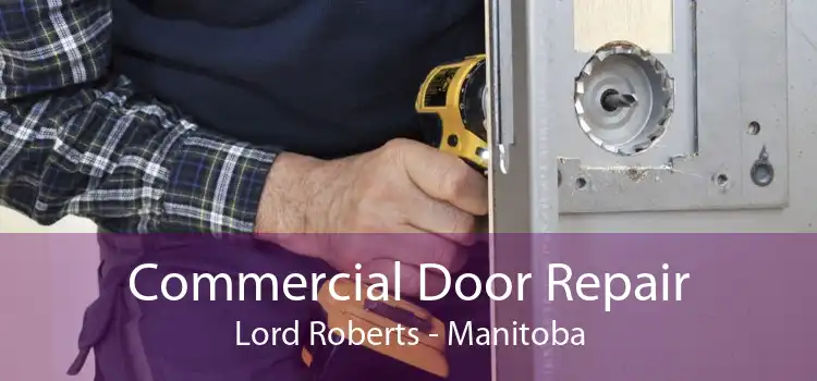Commercial Door Repair Lord Roberts - Manitoba