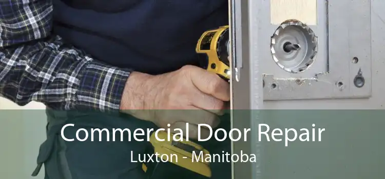 Commercial Door Repair Luxton - Manitoba
