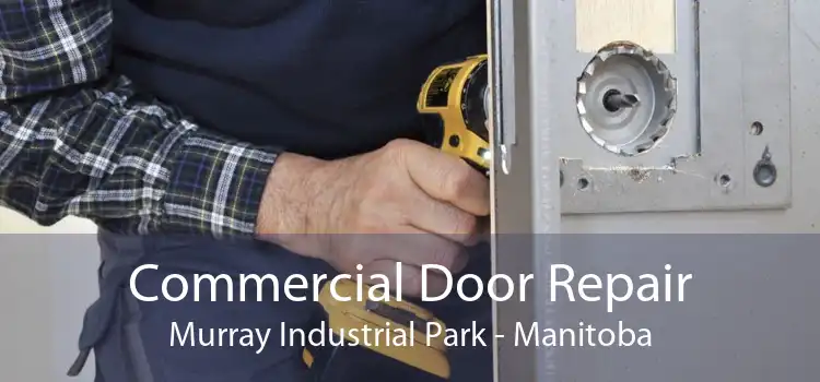 Commercial Door Repair Murray Industrial Park - Manitoba
