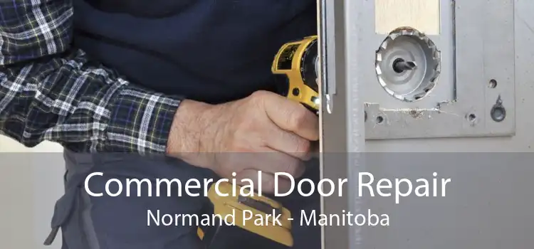 Commercial Door Repair Normand Park - Manitoba