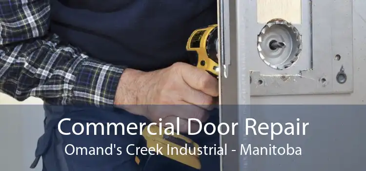 Commercial Door Repair Omand's Creek Industrial - Manitoba