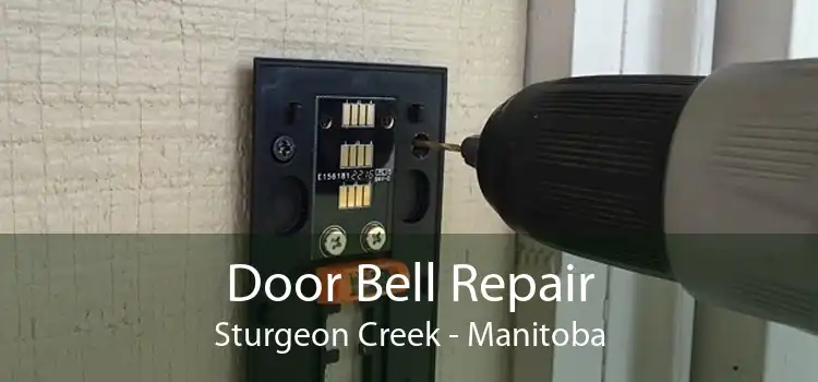 Door Bell Repair Sturgeon Creek - Manitoba