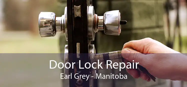 Door Lock Repair Earl Grey - Manitoba