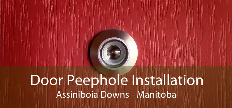 Door Peephole Installation Assiniboia Downs - Manitoba