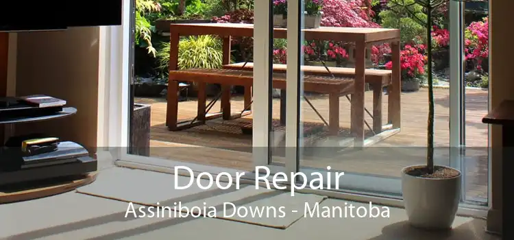Door Repair Assiniboia Downs - Manitoba
