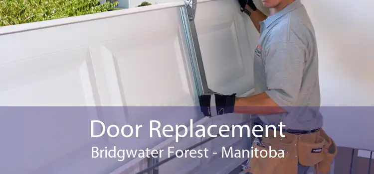 Door Replacement Bridgwater Forest - Manitoba