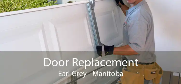 Door Replacement Earl Grey - Manitoba