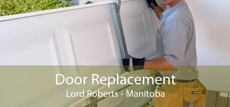 Door Replacement Lord Roberts - Manitoba