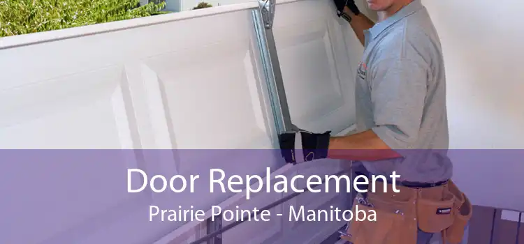 Door Replacement Prairie Pointe - Manitoba