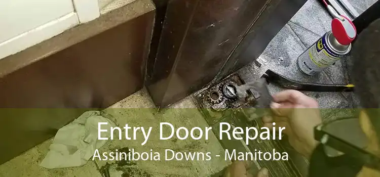 Entry Door Repair Assiniboia Downs - Manitoba