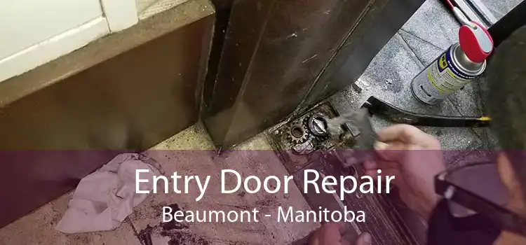 Entry Door Repair Beaumont - Manitoba