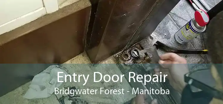 Entry Door Repair Bridgwater Forest - Manitoba