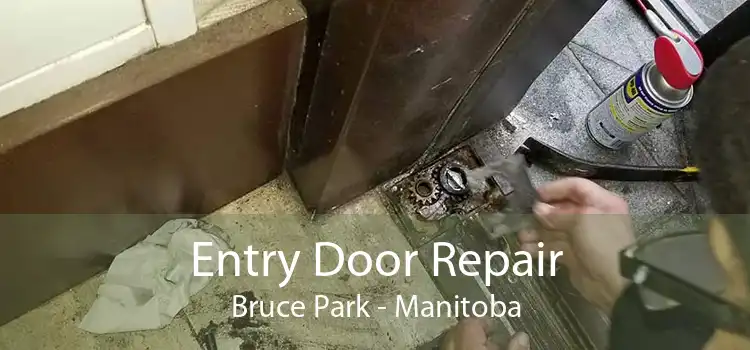 Entry Door Repair Bruce Park - Manitoba