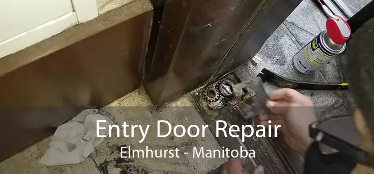 Entry Door Repair Elmhurst - Manitoba