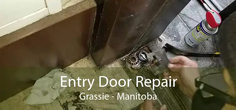 Entry Door Repair Grassie - Manitoba