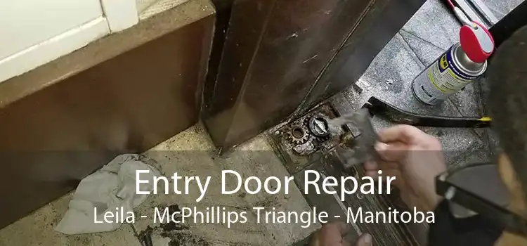 Entry Door Repair Leila - McPhillips Triangle - Manitoba