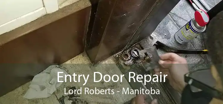 Entry Door Repair Lord Roberts - Manitoba