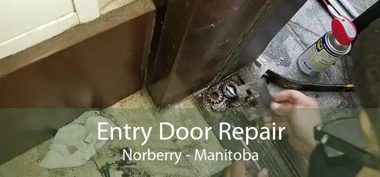 Entry Door Repair Norberry - Manitoba