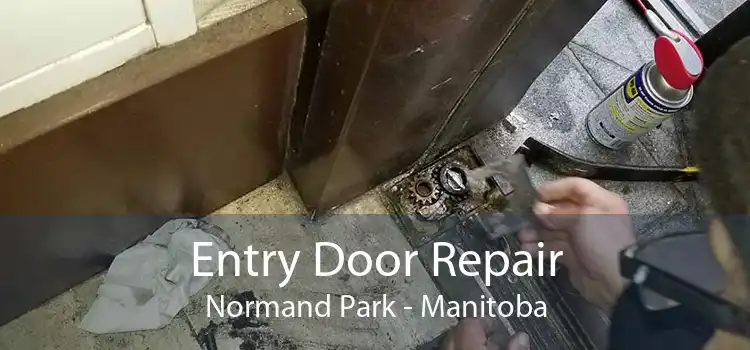 Entry Door Repair Normand Park - Manitoba