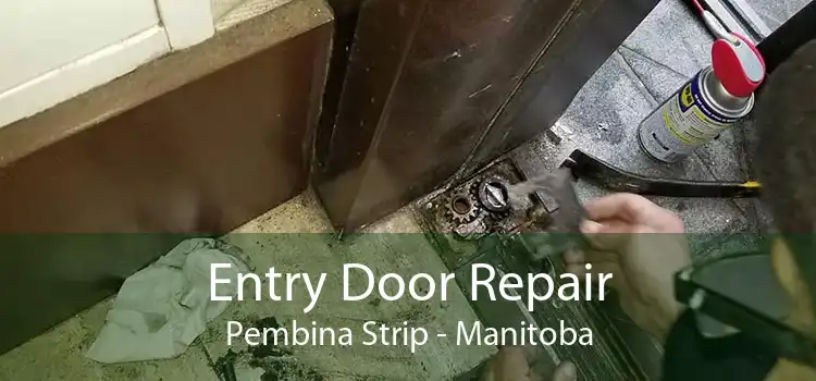 Entry Door Repair Pembina Strip - Manitoba