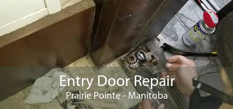 Entry Door Repair Prairie Pointe - Manitoba