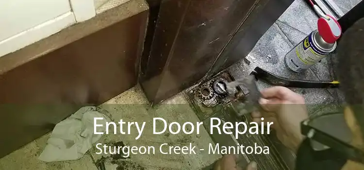 Entry Door Repair Sturgeon Creek - Manitoba