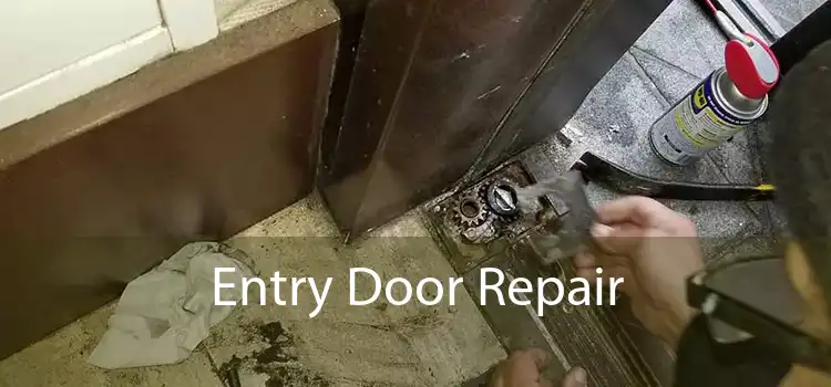 Entry Door Repair