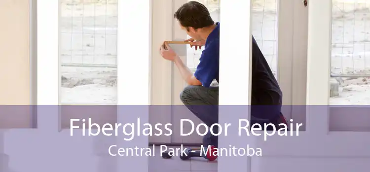 Fiberglass Door Repair Central Park - Manitoba
