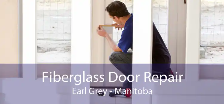 Fiberglass Door Repair Earl Grey - Manitoba