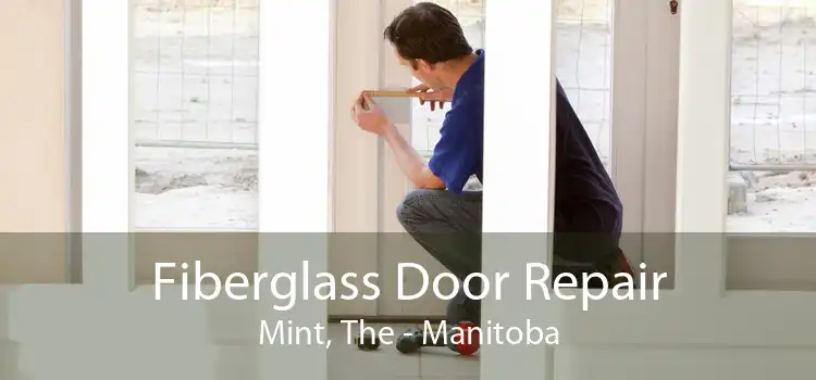 Fiberglass Door Repair Mint, The - Manitoba