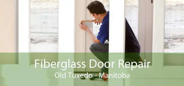 Fiberglass Door Repair Old Tuxedo - Manitoba