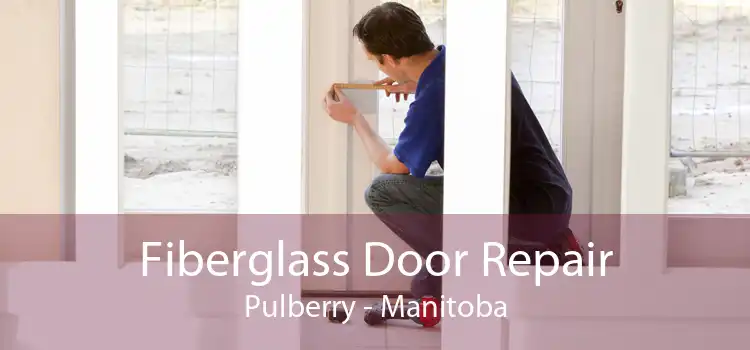 Fiberglass Door Repair Pulberry - Manitoba