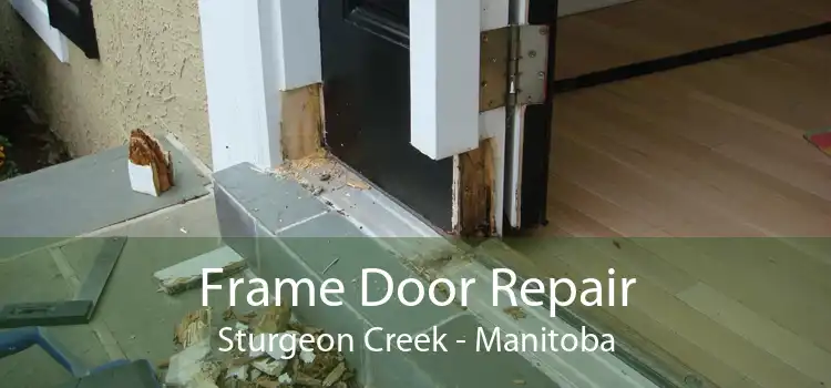 Frame Door Repair Sturgeon Creek - Manitoba