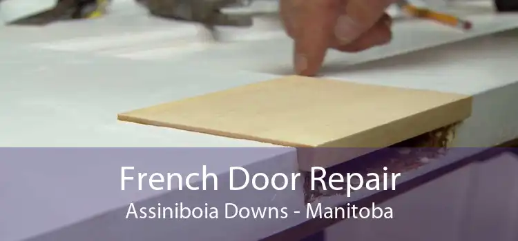 French Door Repair Assiniboia Downs - Manitoba