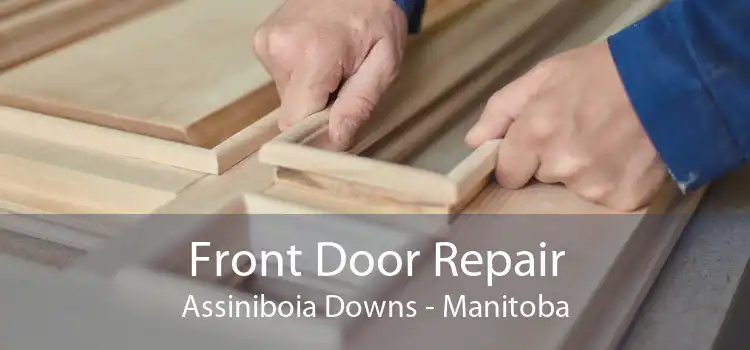 Front Door Repair Assiniboia Downs - Manitoba