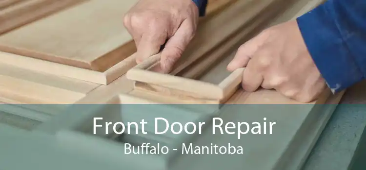 Front Door Repair Buffalo - Manitoba