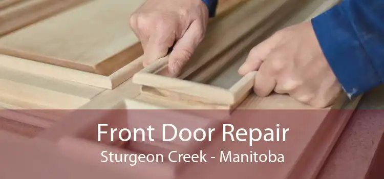 Front Door Repair Sturgeon Creek - Manitoba