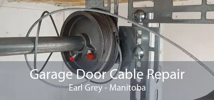 Garage Door Cable Repair Earl Grey - Manitoba