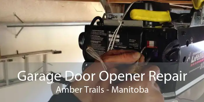 Garage Door Opener Repair Amber Trails - Manitoba