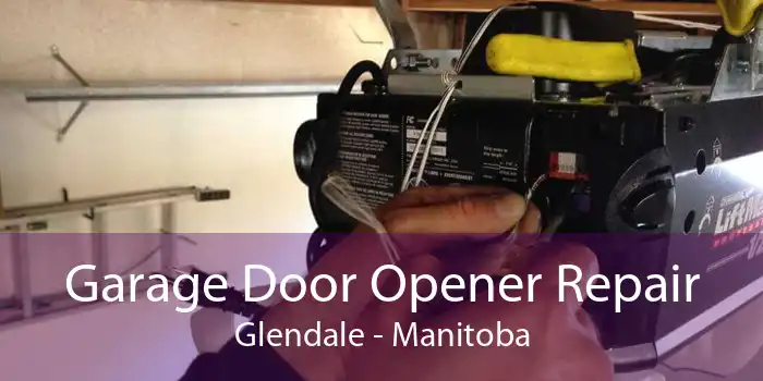 Garage Door Opener Repair Glendale - Manitoba