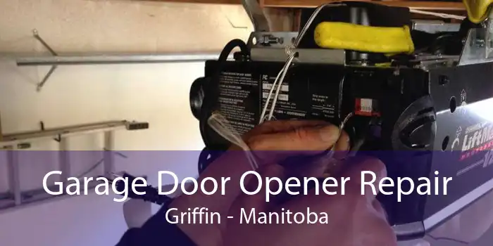 Garage Door Opener Repair Griffin - Manitoba