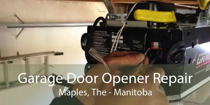 Garage Door Opener Repair Maples, The - Manitoba